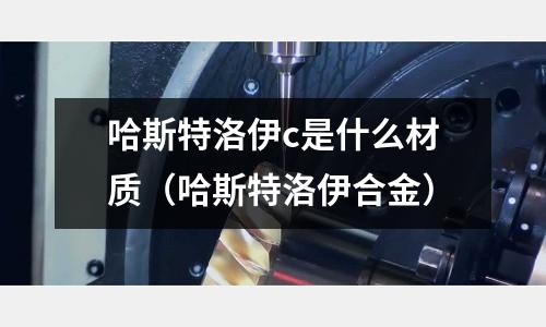 哈斯特洛伊c是什么材質（哈斯特洛伊合金）