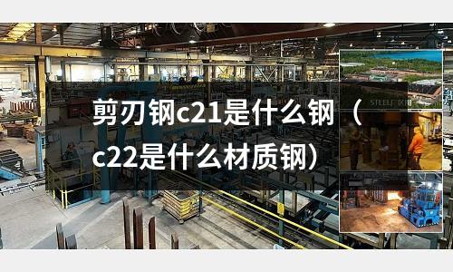 剪刃鋼c21是什么鋼(c22是什么材質鋼)