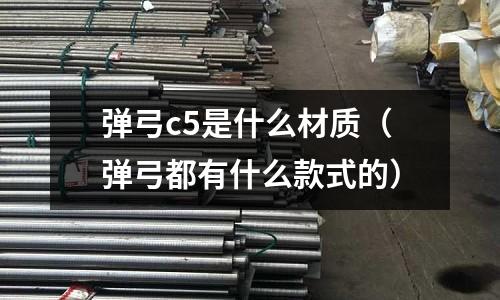 彈弓c5是什么材質(zhì)(彈弓都有什么款式的)