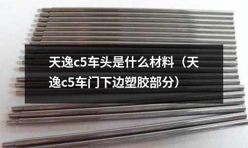 天逸c5車頭是什么材料(天逸c5車門下邊塑膠部分)