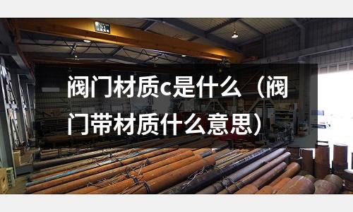 閥門材質c是什么(閥門帶材質什么意思)
