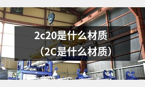 2c20是什么材質(zhì)（2C是什么材質(zhì)）