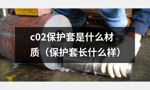 c02保護套是什么材質(保護套長什么樣)