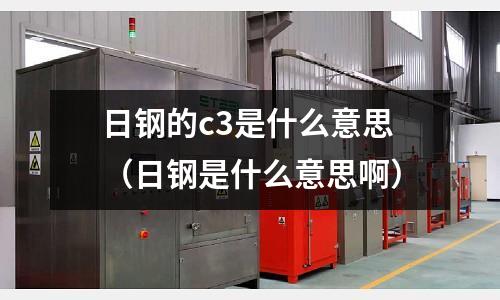 日鋼的c3是什么意思（日鋼是什么意思啊）