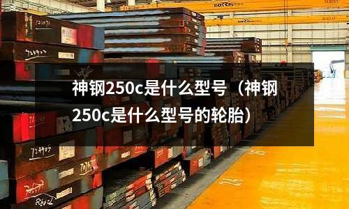 神鋼250c是什么型號(hào)(神鋼250c是什么型號(hào)的輪胎)