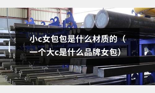 小c女包包是什么材質的(一個大c是什么品牌女包)