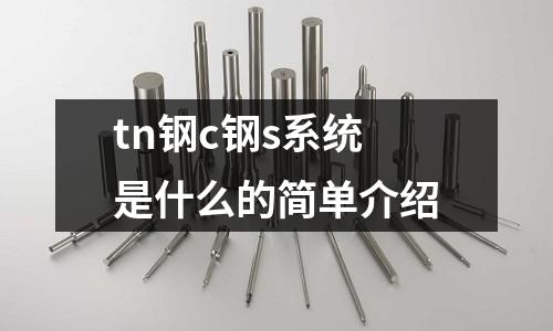tn鋼c鋼s系統(tǒng)是什么的簡(jiǎn)單介紹