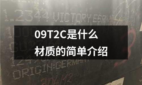 09T2C是什么材質(zhì)的簡單介紹