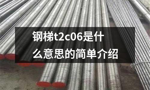 鋼梯t2c06是什么意思的簡(jiǎn)單介紹