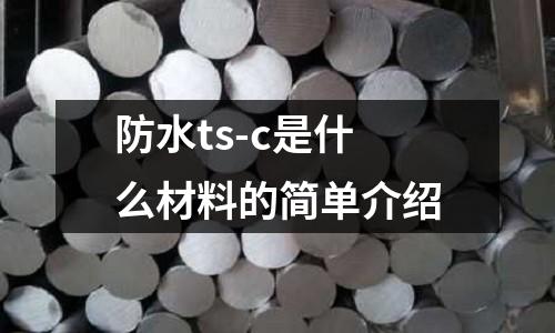 防水ts-c是什么材料的簡單介紹