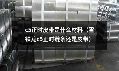 c5正時皮帶是什么材料(雪鐵龍c5正時鏈條還是皮帶)
