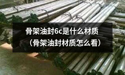 骨架油封6c是什么材質(zhì)(骨架油封材質(zhì)怎么看)