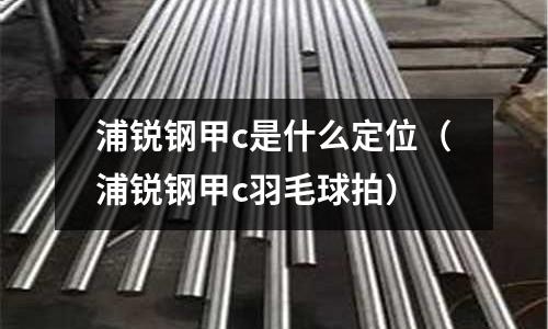 浦銳鋼甲c是什么定位(浦銳鋼甲c羽毛球拍)