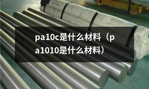 pa10c是什么材料(pa1010是什么材料)