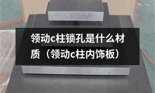 領(lǐng)動c柱鎖孔是什么材質(zhì)(領(lǐng)動c柱內(nèi)飾板)