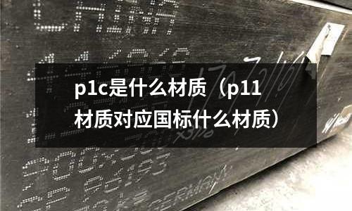 p1c是什么材質(zhì)（p11材質(zhì)對(duì)應(yīng)國標(biāo)什么材質(zhì)）