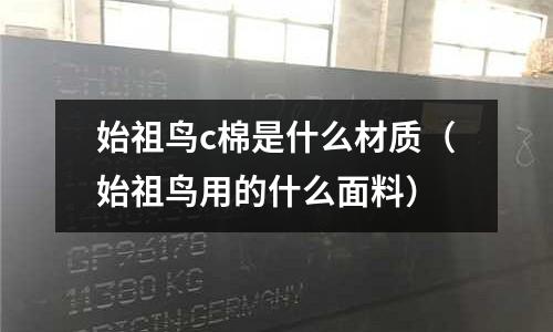 始祖鳥c棉是什么材質(始祖鳥用的什么面料)