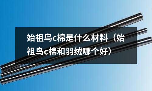 始祖鳥c棉是什么材料(始祖鳥c棉和羽絨哪個好)