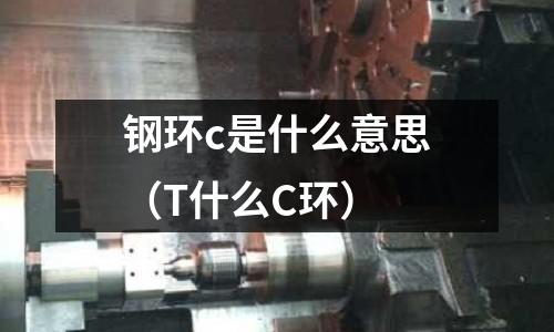 鋼環(huán)c是什么意思(T什么C環(huán))