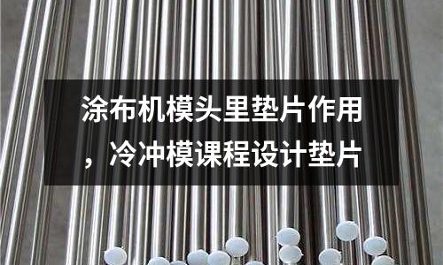 涂布機模頭里墊片作用,冷沖模課程設計墊片