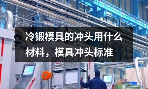 冷鍛模具的沖頭用什么材料,模具沖頭標(biāo)準(zhǔn)