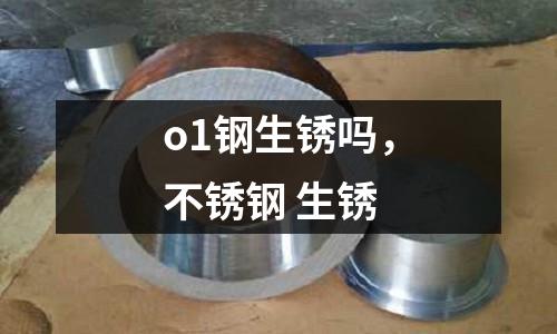 o1鋼生銹嗎，不銹鋼 生銹
