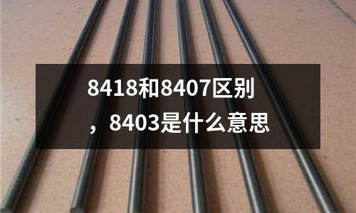 8418和8407區別,8403是什么意思