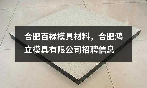 合肥百祿模具材料，合肥鴻立模具有限公司招聘信息