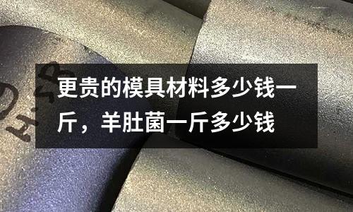更貴的模具材料多少錢一斤，羊肚菌一斤多少錢