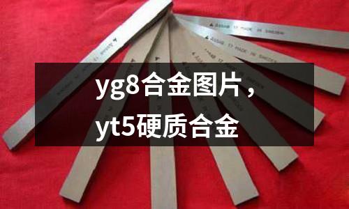 yg8合金圖片,yt5硬質合金