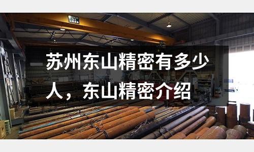 蘇州東山精密有多少人,東山精密介紹