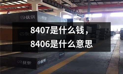 8407是什么錢，8406是什么意思