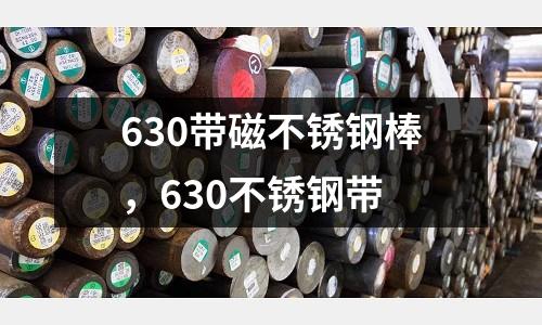 630帶磁不銹鋼棒，630不銹鋼帶