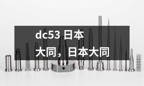 dc53 日本大同，日本大同