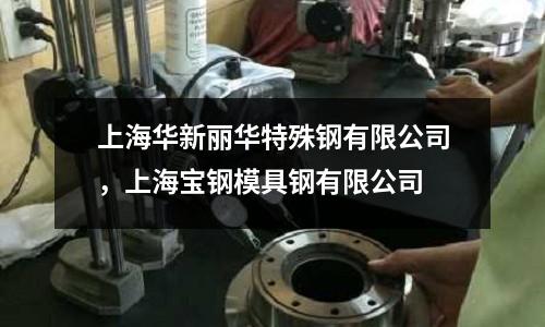 上海華新麗華特殊鋼有限公司，上海寶鋼模具鋼有限公司