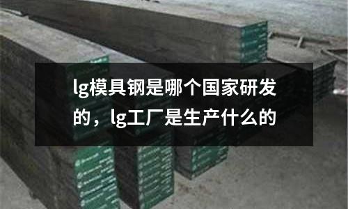 lg模具鋼是哪個(gè)國(guó)家研發(fā)的,lg工廠是生產(chǎn)什么的