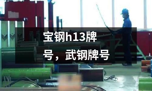 寶鋼h13牌號，武鋼牌號