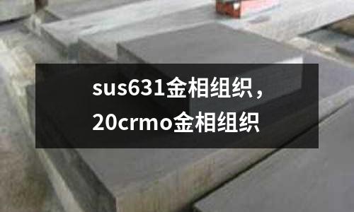 sus631金相組織，20crmo金相組織