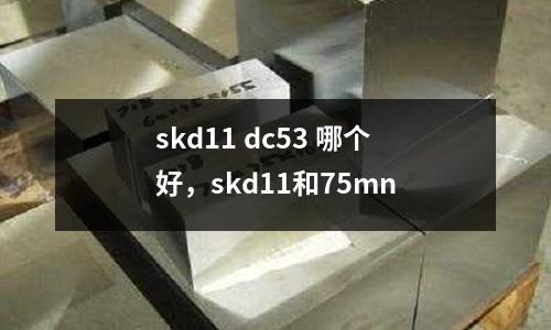 skd11 dc53 哪個好，skd11和75mn