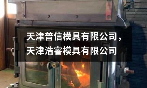 天津普信模具有限公司，天津浩睿模具有限公司