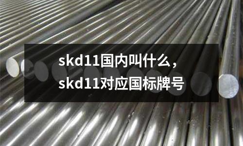 skd11國內叫什么,skd11對應國標牌號