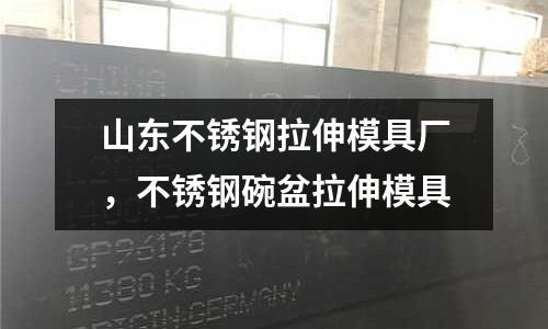 山東不銹鋼拉伸模具廠，不銹鋼碗盆拉伸模具