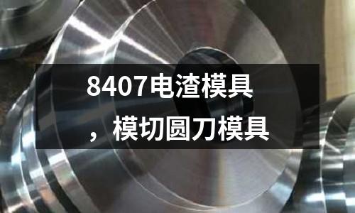 8407電渣模具，模切圓刀模具