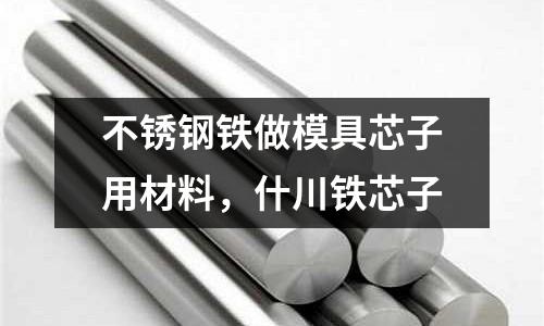 不銹鋼鐵做模具芯子用材料,什川鐵芯子