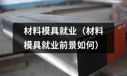 材料模具就業(yè)（材料模具就業(yè)前景如何）