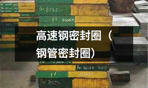 高速鋼密封圈（鋼管密封圈）