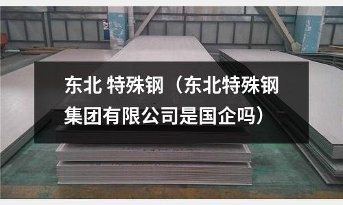 東北 特殊鋼（東北特殊鋼集團有限公司是國企嗎）
