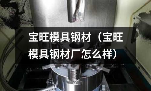 寶旺模具鋼材（寶旺模具鋼材廠怎么樣）