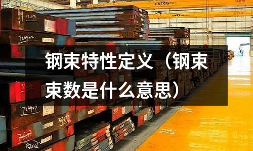 鋼束特性定義（鋼束束數(shù)是什么意思）