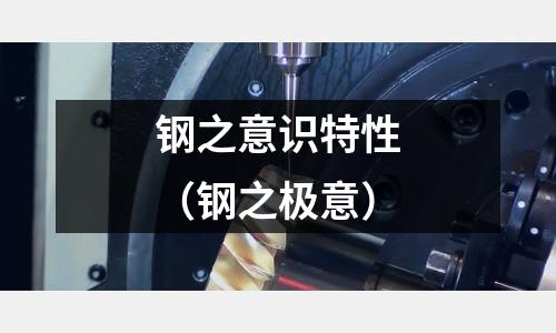 鋼之意識特性（鋼之極意）